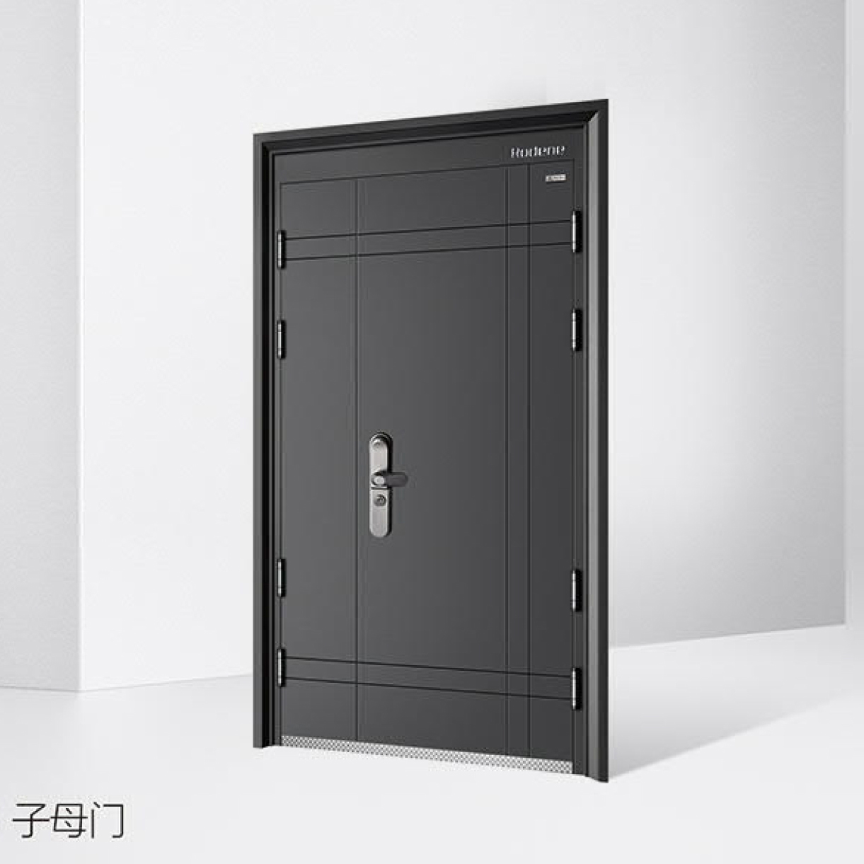 2022罗蒂尼ZD-18子母门