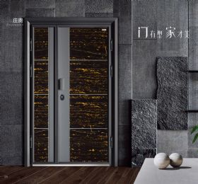 时尚界轻奢装甲门Z1-321庄贵
